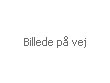 Eico AC39351 vandl�s